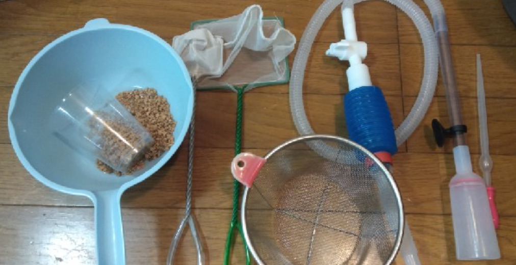 手順紹介 水槽の水換え 水足し フィルター アクセサリー 底砂洗い方指南 日淡といっしょ