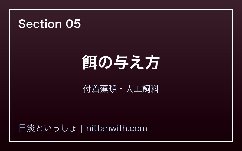 アブラボテ 餌の与え方