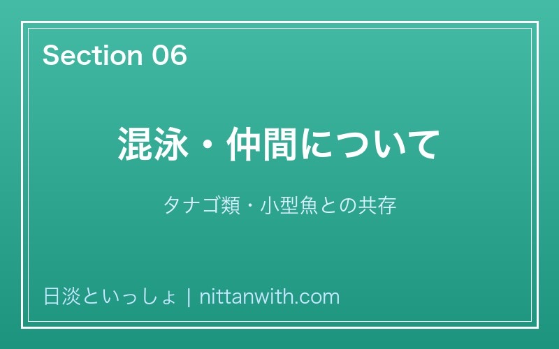 アブラボテ 混泳について
