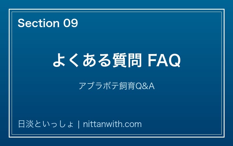 アブラボテ よくある質問FAQ