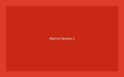 アカヒレの基本情報・学名・分類・特徴