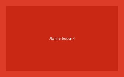 アカヒレの水質・水温管理方法