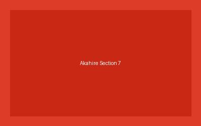 アカヒレの混泳相性・一緒に飼える魚