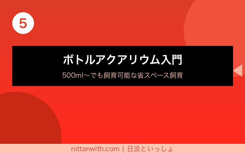 アカヒレの餌・種類・与え方