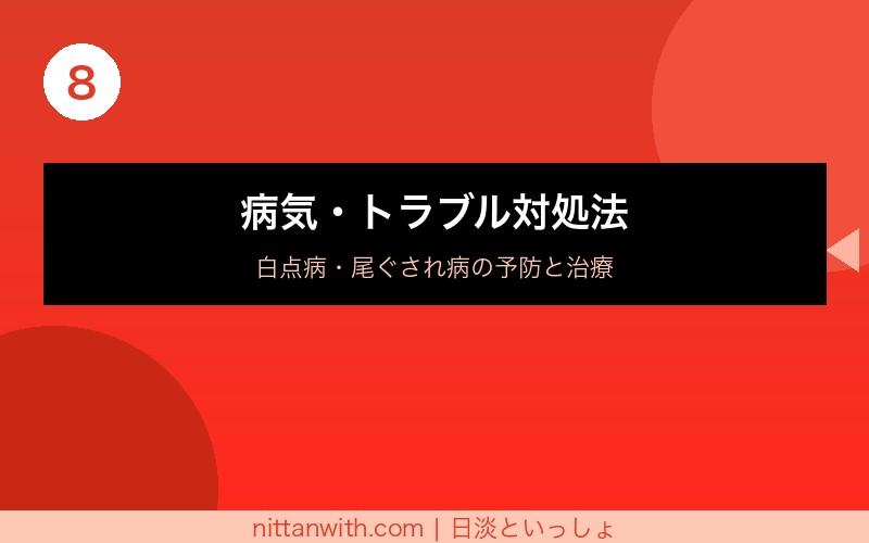 アカヒレの繁殖方法・稚魚の育て方