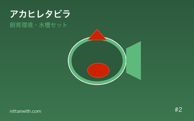 アカヒレタビラ 基本情報・特徴