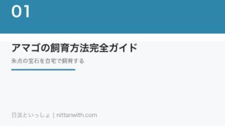アマゴの飼育方法完全ガイド｜朱点の宝石を自宅水槽で飼育する方法