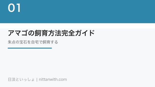 アマゴの飼育方法完全ガイド｜朱点の宝石を自宅水槽で飼育する方法