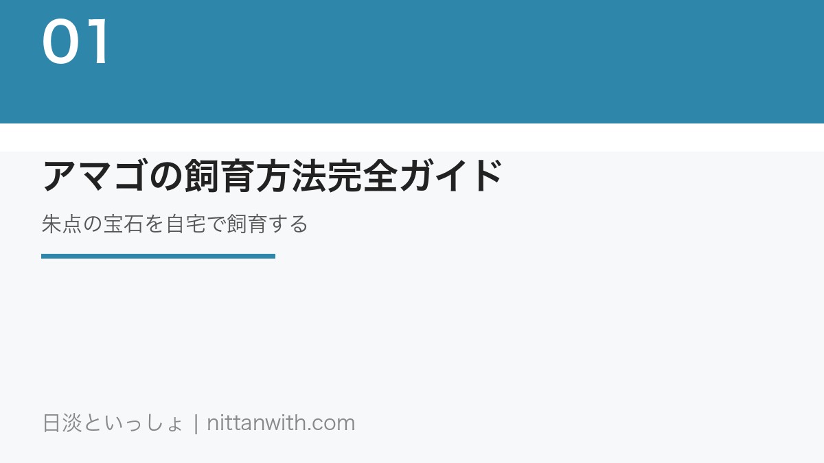アマゴの飼育方法完全ガイド｜朱点の宝石を自宅水槽で飼育する方法