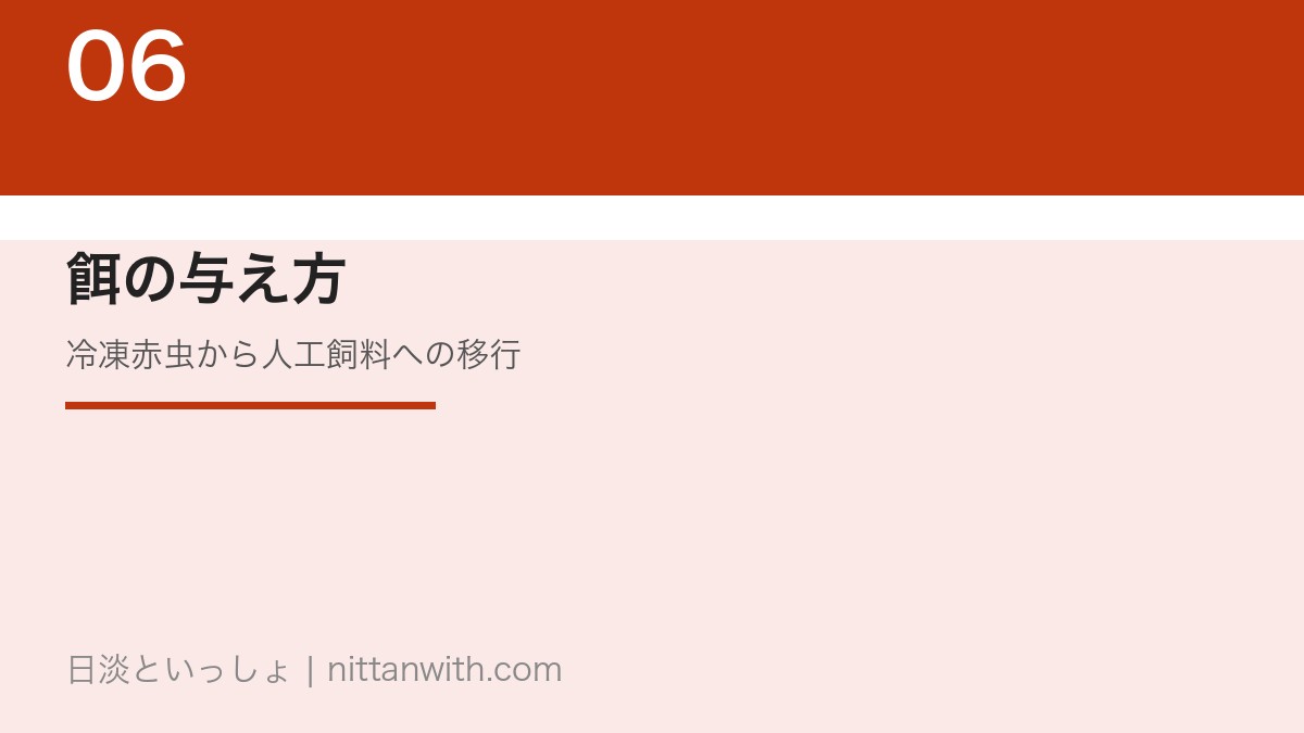 アマゴの餌の与え方｜冷凍赤虫から人工飼料への移行方法