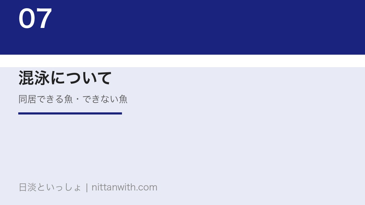 アマゴの混泳相性｜同居できる魚・できない魚一覧
