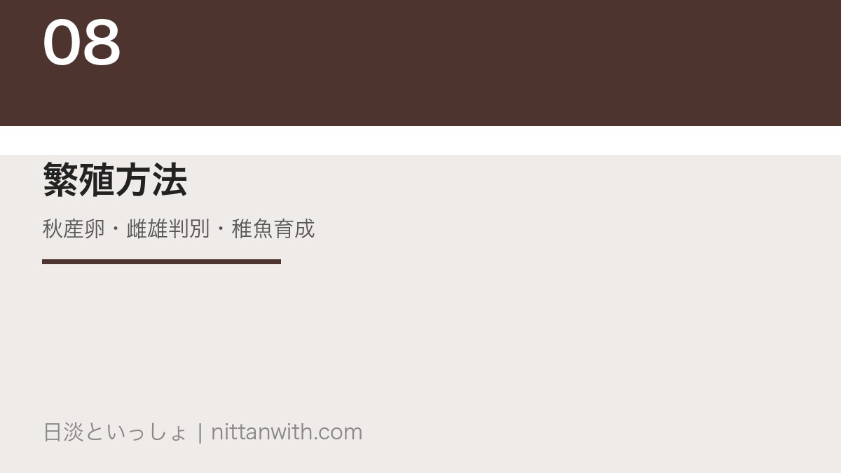 アマゴの繁殖方法｜秋産卵・雌雄判別・稚魚育成