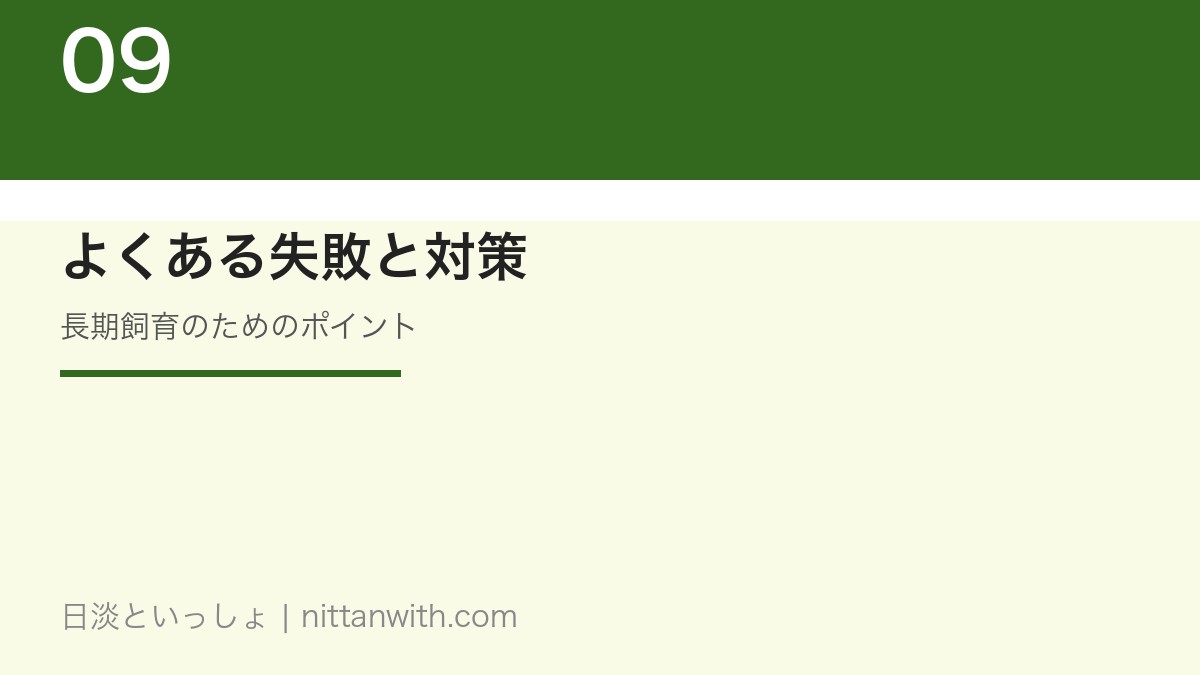 アマゴ飼育のよくある失敗と対策｜長期飼育のポイント