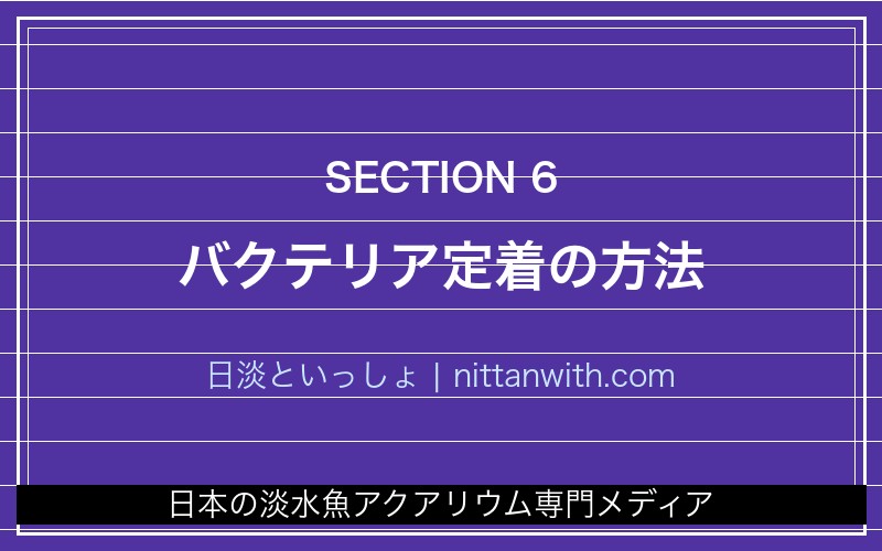 バクテリア定着の方法