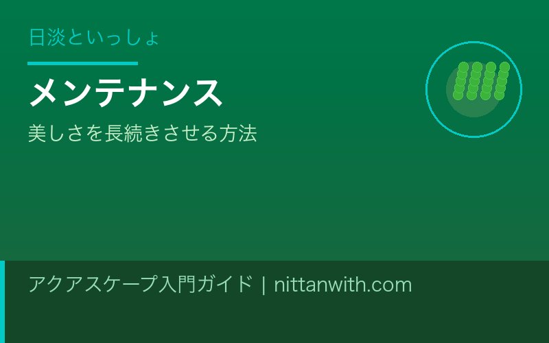 流木の選び方・アク抜き・配置テクニック