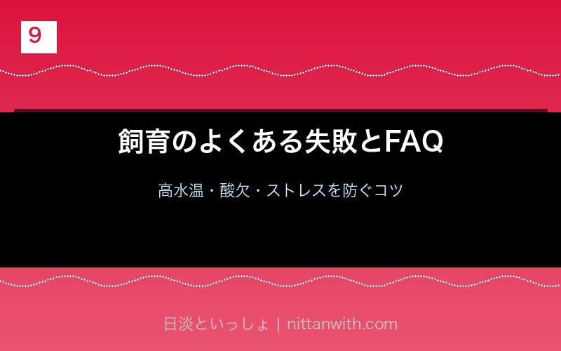 アユ飼育のよくある失敗とFAQ