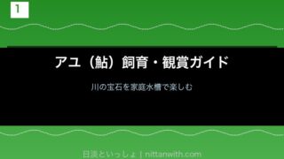 アユ（鮎）飼育・観賞ガイド トップ画像