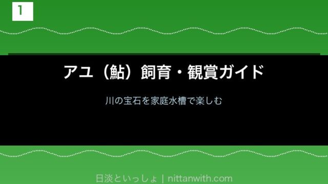 アユ（鮎）飼育・観賞ガイド トップ画像