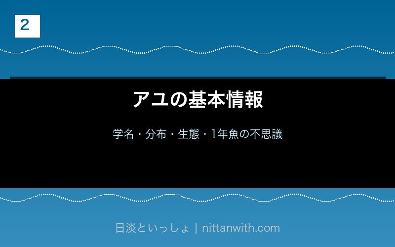 アユの基本情報・生態解説