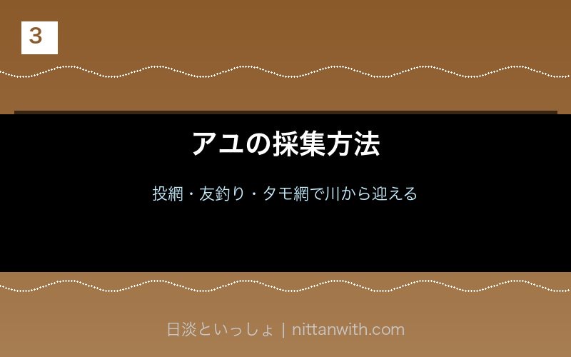 アユの採集方法（投網・タモ網・友釣り）
