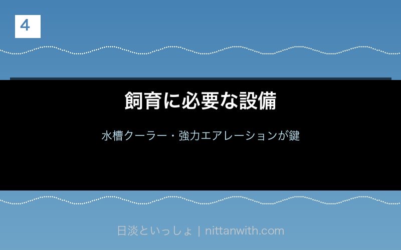 アユ飼育に必要な設備（水槽クーラー・エアレーション）