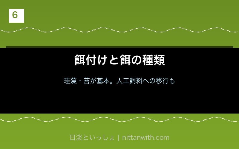 アユの餌付けと餌の種類（珪藻・川魚用配合飼料）