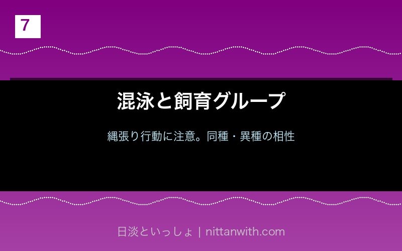 アユの混泳と縄張り行動