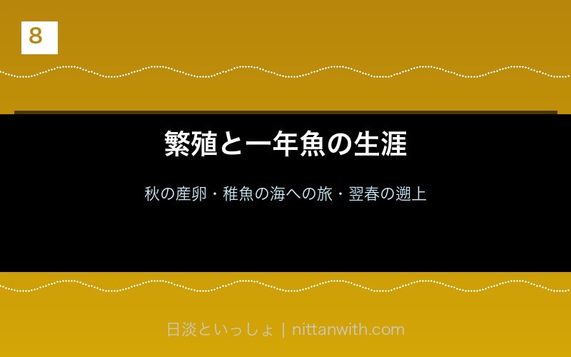 アユの繁殖と1年魚の生涯