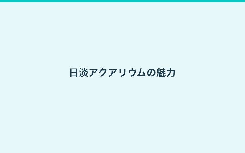 アクアリウム超入門ガイド