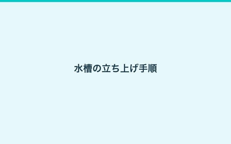 アクアリウム超入門ガイド