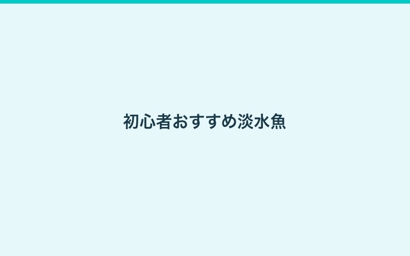 アクアリウム超入門ガイド