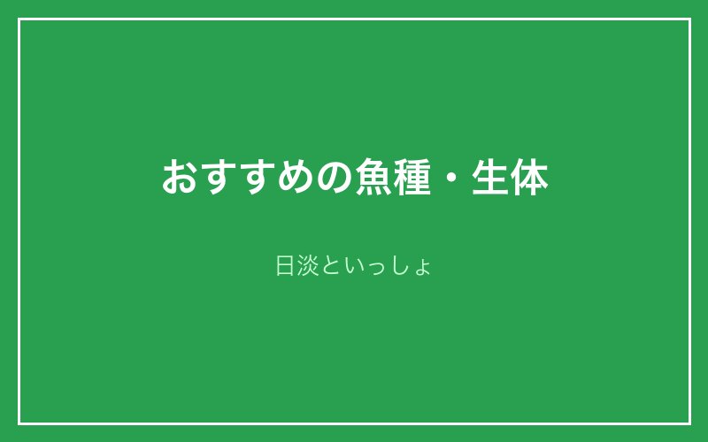 おすすめの魚種・生体