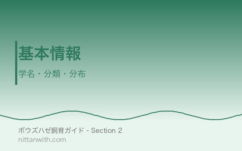 ボウズハゼの基本情報 - 学名・分類・分布