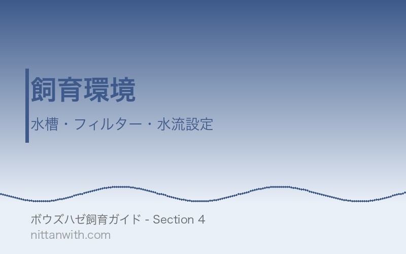 ボウズハゼの飼育環境 - 水槽・フィルター・水流設定