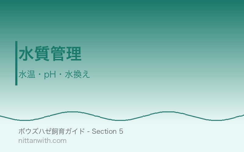 ボウズハゼの水質管理 - 水温・pH・水換え