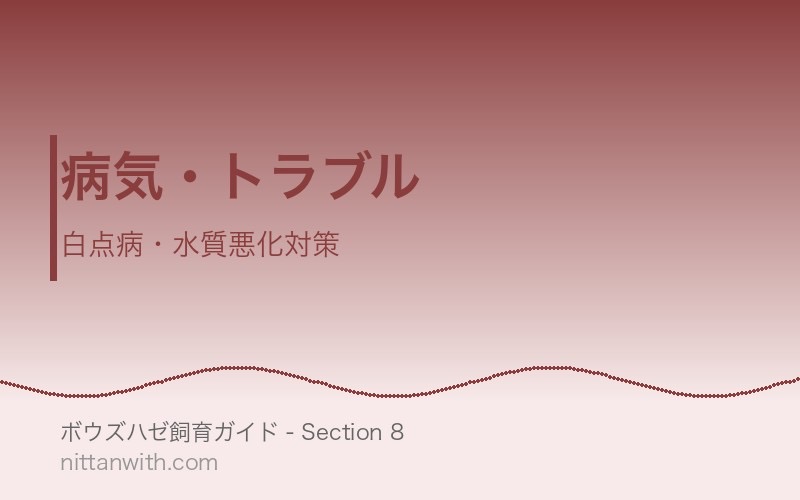 ボウズハゼの病気・トラブル対策