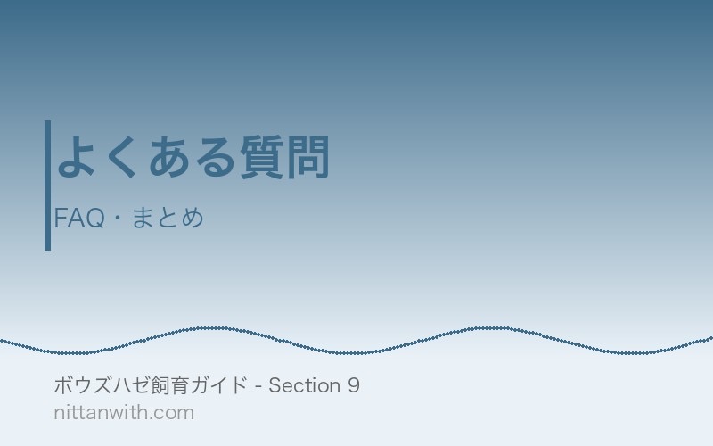 ボウズハゼよくある質問FAQ・まとめ