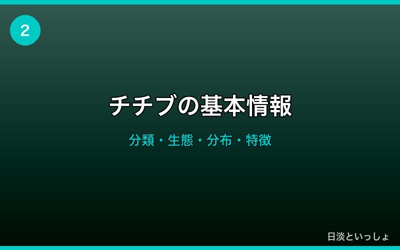 チチブの基本情報・生態・特徴