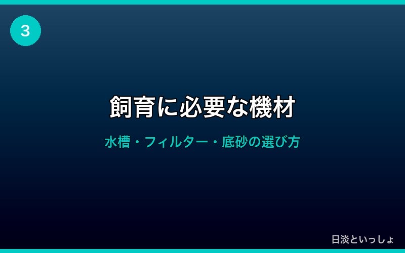 チチブ飼育に必要な機材・水槽セッティング