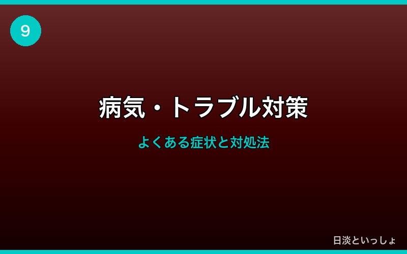 チチブの病気・トラブル対策