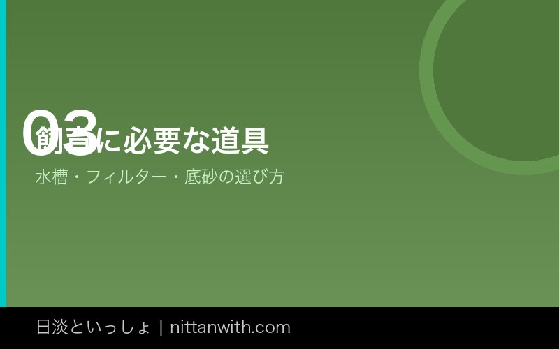 コリドラス飼育に必要な道具