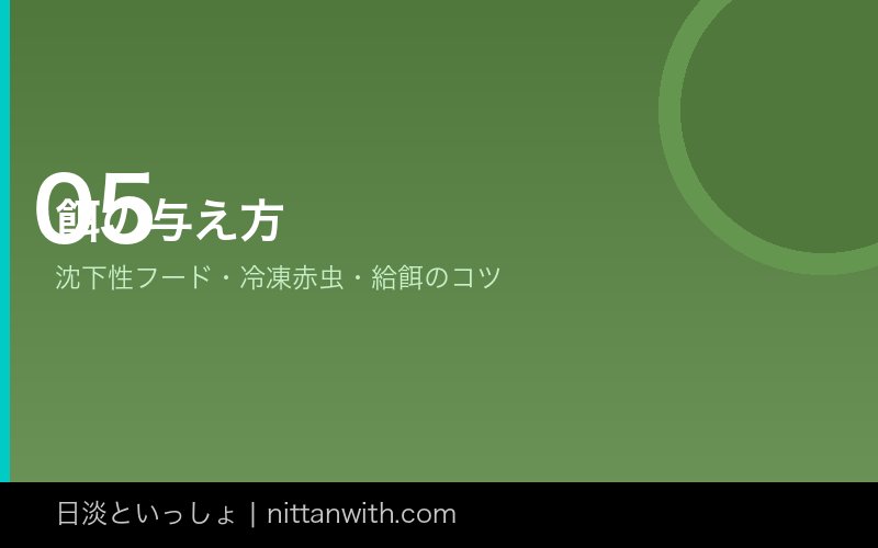 コリドラスの餌の与え方