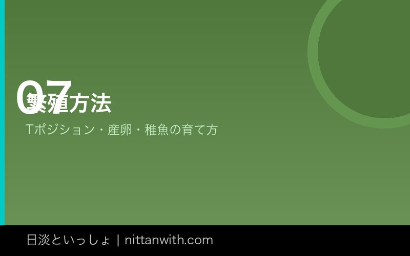 コリドラスの繁殖方法