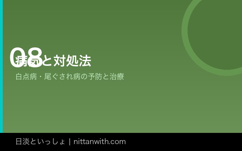 かかりやすい病気と対処法