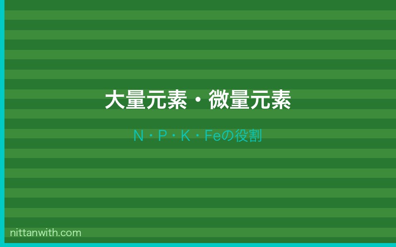 水草の栄養素基礎知識
