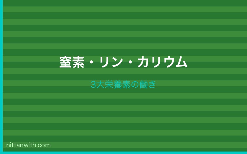 窒素・リン・カリウムの役割