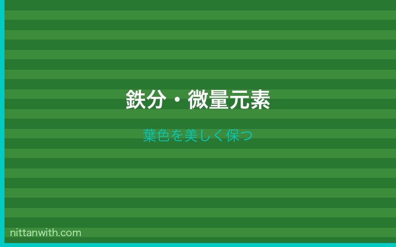 鉄分と微量元素の補給