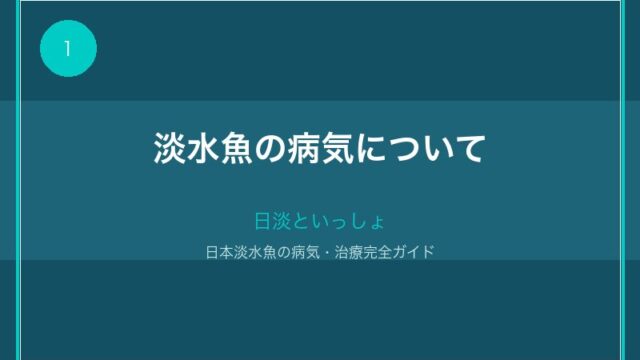 日本淡水魚の病気について