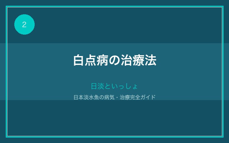 白点病の治療法
