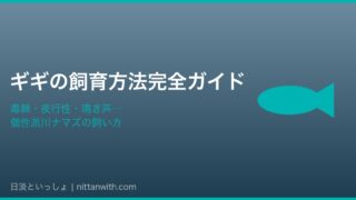 ギギの飼育方法完全ガイド アイキャッチ